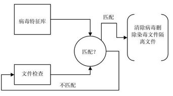 數(shù)字時代的守護者 防毒軟件與網(wǎng)絡(luò)信息安全軟件開發(fā)的重要性